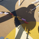Illustration for article titled These are the most fantastical playgrounds ever built